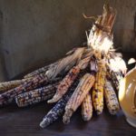 What food did the Pilgrims eat for Thanksgiving?