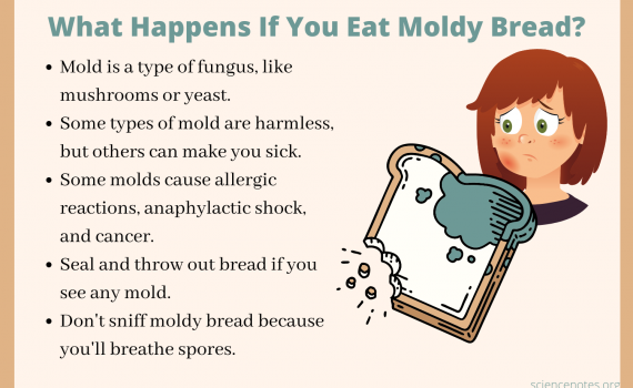 What happens if I eat moldy spaghetti sauce?