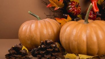 What is Thanksgiving so important?