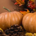 What is Thanksgiving so important?