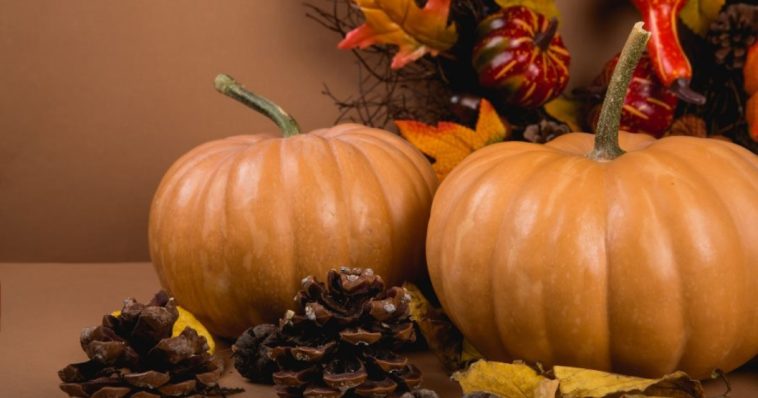 What is Thanksgiving so important?