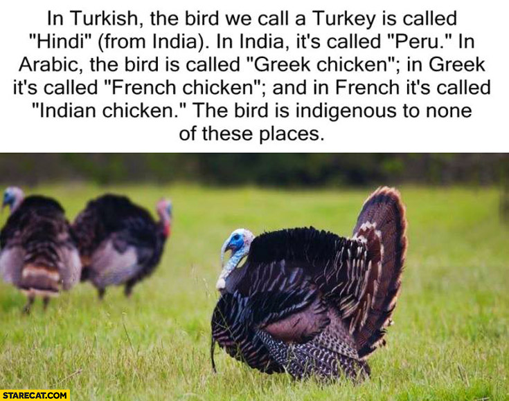 What is a Turkey called in India?