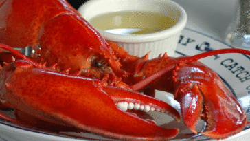 What is a good price for lobster?