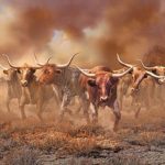 What is in a LongHorn stampede?