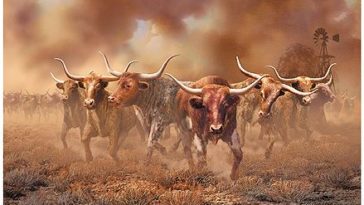 What is in a LongHorn stampede?