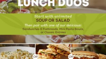 What is lunch time at Olive Garden?