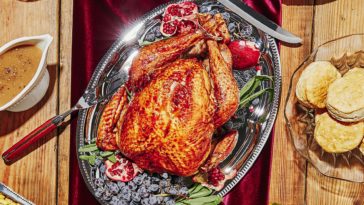 What is the best brand of turkey to buy?