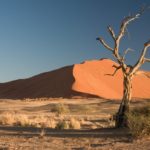 What is the best desert?