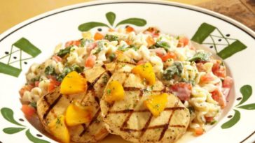 What is the best dish at Olive Garden?