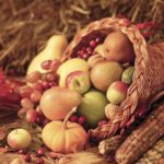 What is the cornucopia Why is it important?