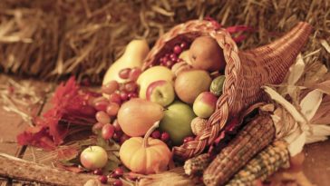 What is the cornucopia Why is it important?