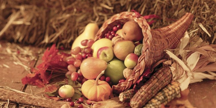 What is the cornucopia Why is it important?