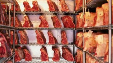 What is the oldest aged steak?