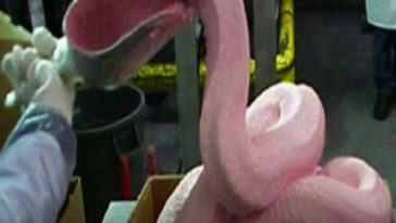 What is the pink slime in McDonald's Burgers?