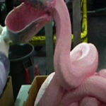 What is the pink slime in McDonald's Burgers?