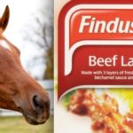What is wrong with horse meat?