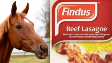 What is wrong with horse meat?