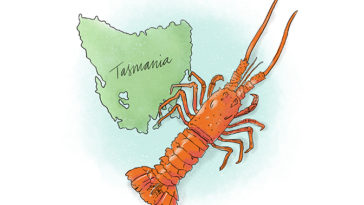 What months should you not eat lobster?