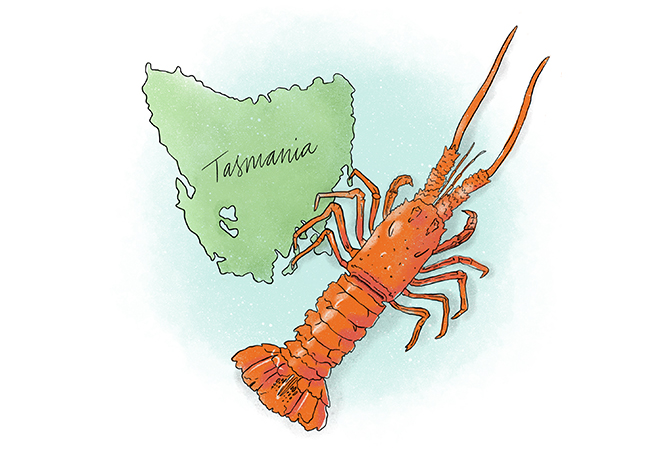 What months should you not eat lobster?