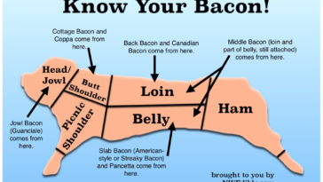 What part of pig is bacon?