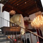 What restaurants use horse meat?