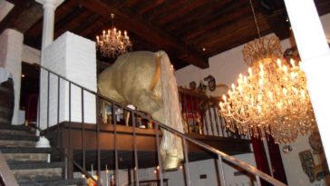 What restaurants use horse meat?