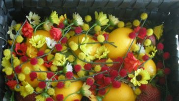 What should I put in a food basket?