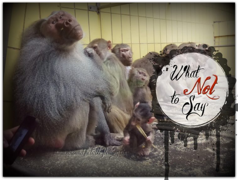 What should you not say at Thanksgiving?