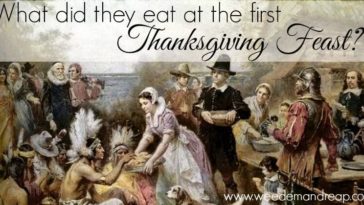 What were 3 foods that were probably eaten at the first Thanksgiving?