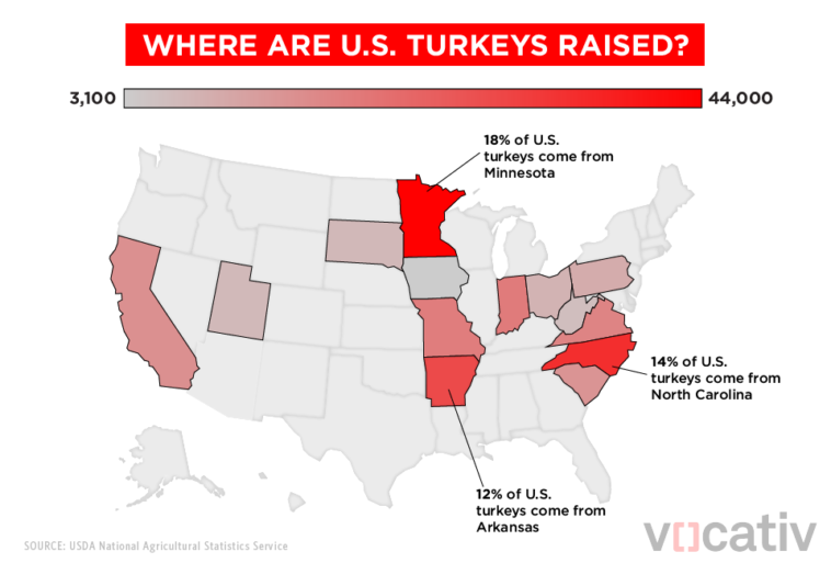 Where do all the Thanksgiving turkeys come from?
