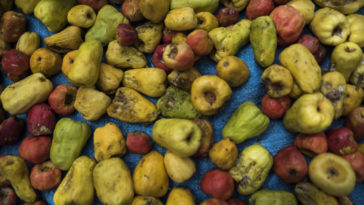 Where does Aldi Kirkwood turkey come from?