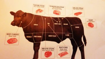 Which part of cow is best for steak?