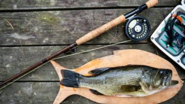 Why are there no turkeys in the stores 2021?