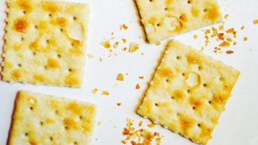 Why do cream sauces upset my stomach?