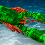 Why is Red Lobster so expensive?