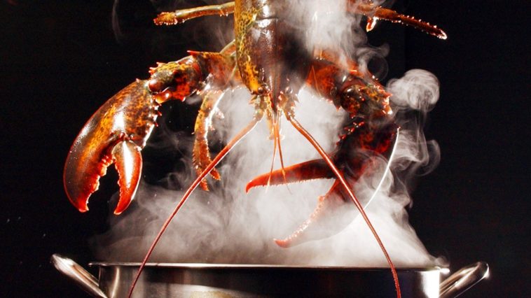 Why is lobster so expensive?
