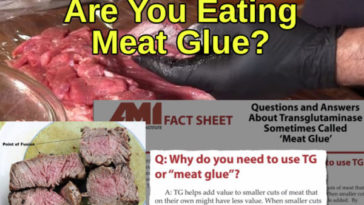 Why is meat glue banned?
