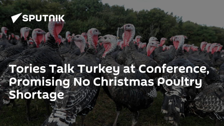 Why is there a turkey shortage 2021?