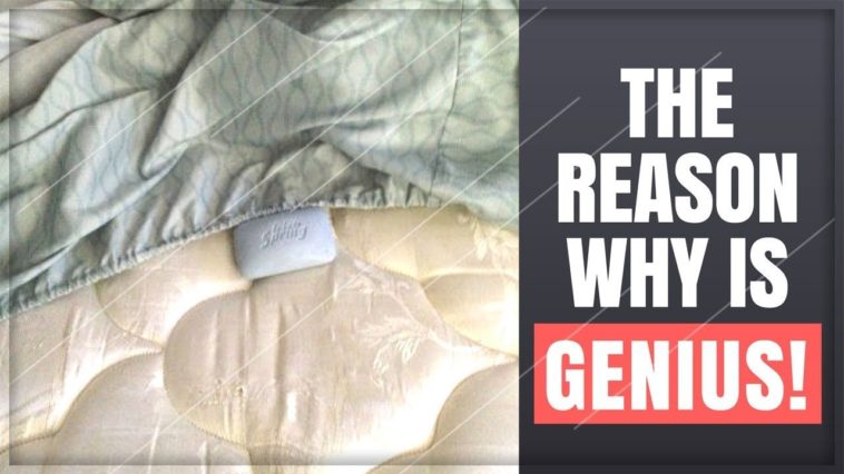 Why tomato soup is bad for you?