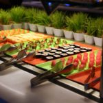 Why you shouldn't eat at a buffet?