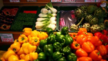 Will food prices continue to rise?