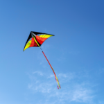 Are box kites easy to fly?
