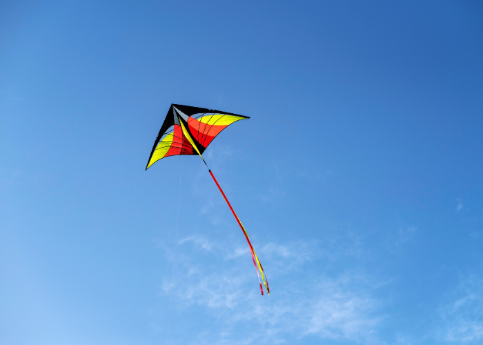 Are box kites easy to fly?