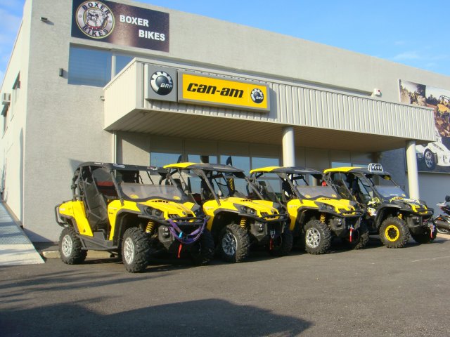 Are scooter lattes decaf?