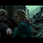 Can Avada Kedavra destroy Horcrux?