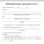 Can I write my own contracts?