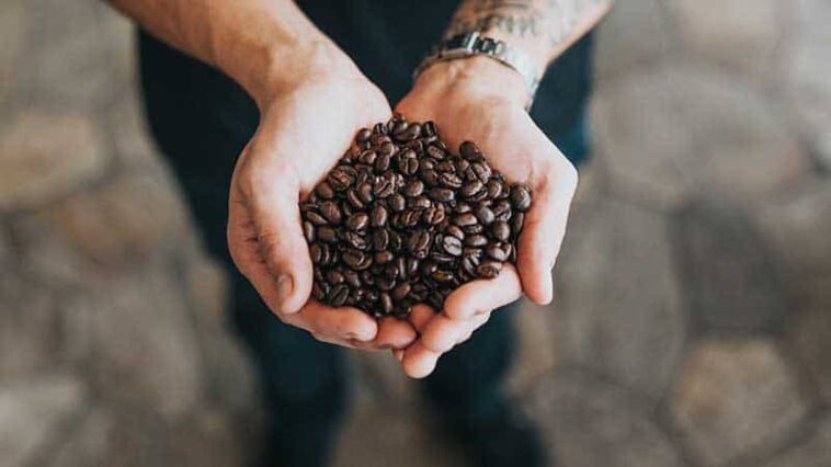 Can you make money selling coffee beans?