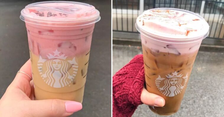 Can you order chocolate milk at Starbucks?