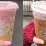 Can you put cold foam on a pink drink?