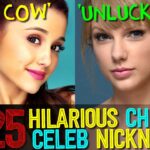 Do Chinese have nicknames?